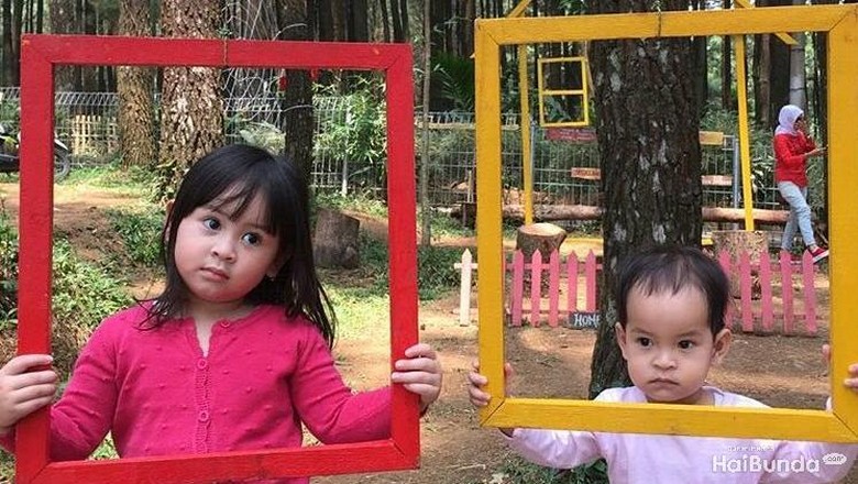 Tips Agar si Kakak Tak Terlalu Cemburu pada Calon Adiknya/ Foto: dok.HaiBunda Tips Agar si Kakak Tak Terlalu Cemburu pada Calon Adiknya/ Foto: dok.HaiBunda