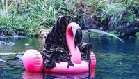 Ia juga gemar berkeliling sungai, untuk menyampaikan bahwa bahaya di air bisa datang dari mana saja. Hiiii… (iamtheswimreaper/Instagram)