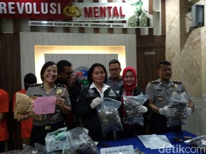 Sindikat Tembakau Gorilla Ditangkap Polisi, 13 Kg Paket Disita