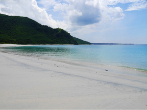 Festival Bahari Momentum Dorong Percepatan Wisata Maritim di Alor