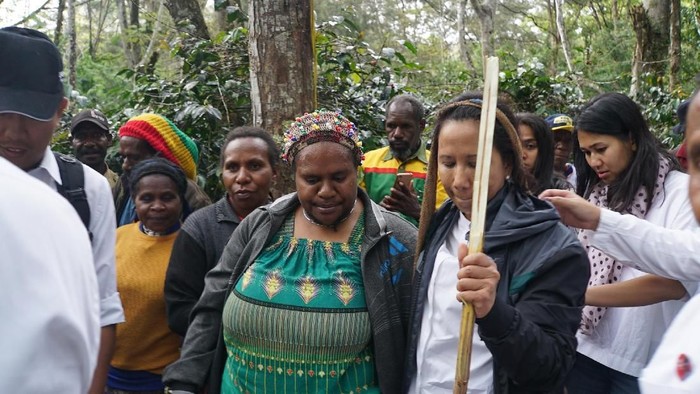 Rini Soemarno Blusukan ke Perkebunan Kopi Papua