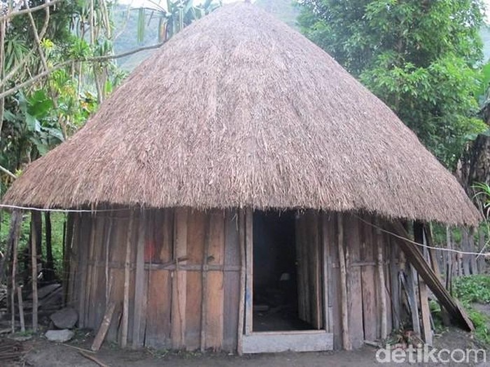 Honai, rumah jamur ala suku Dani, Papua