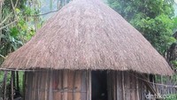 Honai adalah rumah asli dari Suku Dani di Papua. Rumah ini memiliki bentuk yang mirip dengan jamur yang pondasinya adalah kayu dan atapnya adalah jerami (Afif/detikTravel)