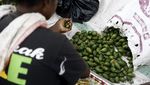 Senyum Semringah Para Penjual Pinang