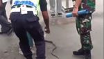 Disorot Dunia, Begini Aksi Pria Penakluk Ular di KRL