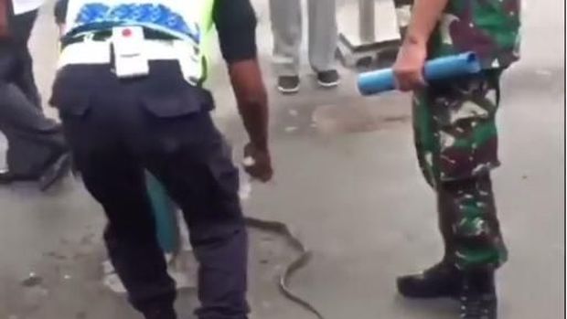 VP Komunikasi Perusahaan PT KCI Eva Chairunnisa mengatakan pembawa ular hingga hari ini belum diketahui.