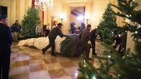 Pemasangan pohon natal di Gedung Putih. Foto: Instagram @realdonaldtrump