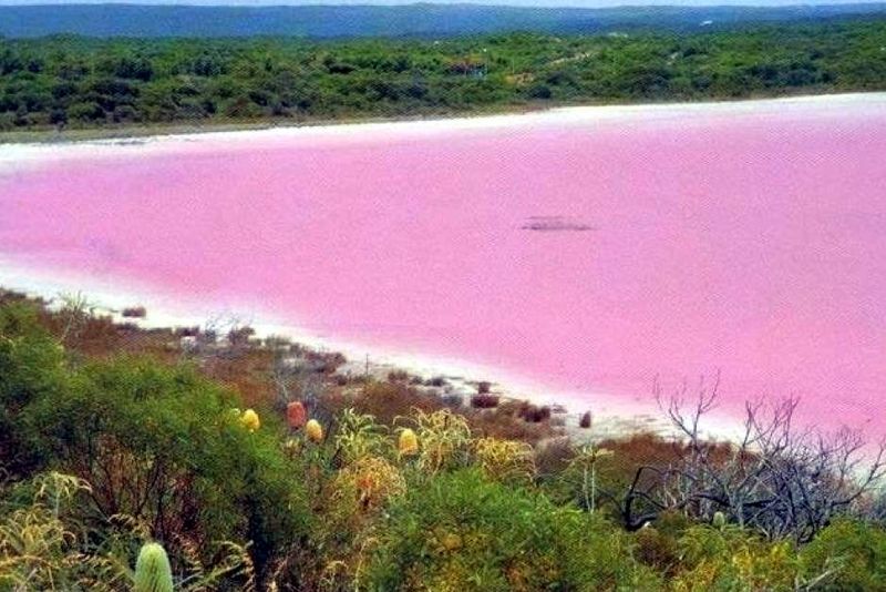 Foto: Danau Pink Australia yang Sudah Tidak Pink Lagi