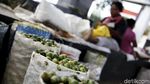 Senyum Semringah Para Penjual Pinang