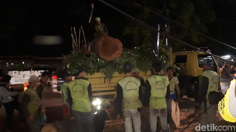 Pohon Tumbang Selesai Dievakuasi, Lalin Samping Istiqlal Dibuka Pohon Tumbang Selesai Dievakuasi, Lalin Samping Istiqlal Dibuka