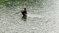 Seorang warga memanfaatkan bersihnya KBT untuk mencari ikan, Selasa (21/11).