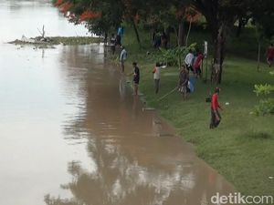 Warga Lamongan Ramai-ramai Ngumbo Ikan di Bengawan Solo