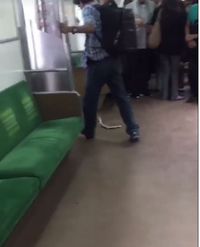 Heboh Ular Ikut 'Naik' KRL di Manggarai dan Bikin Ngeri Penumpang