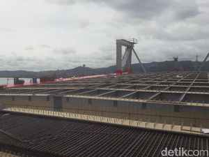 Menteri BUMN Tinjau Proyek Jembatan Holtekamp di Jayapura