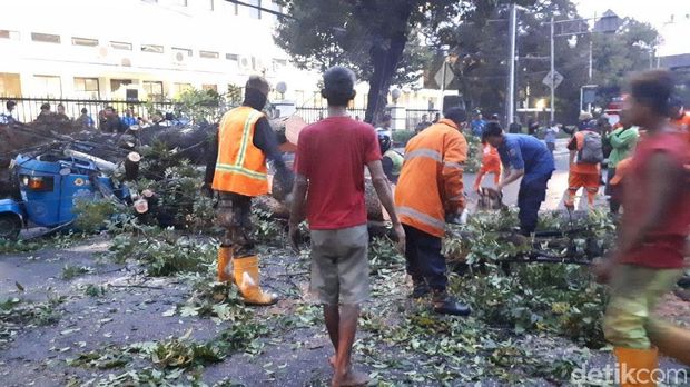 Penanganan pohon tumbang di samping Masjid Istiqlal