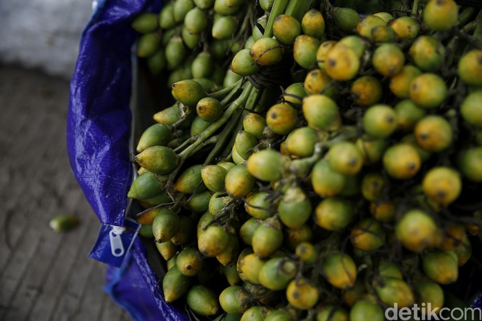 Sejumlah warga Papua di PLBN Skouw terlihat menjajakan buah favorit yakni pinang. Buah ini digemari warga setempat dan dipercaya berkhasiat menguatkan gigi.