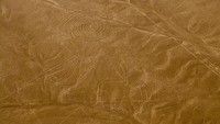 Struktur batu mirip monyet ini dinamakan Geoglif. Ada kurang lebih 300 buah Geoglif yang tersebar di Gurun Nazca. Ukurannya sangat besar, dan hanya bisa terlihat jelas kalau dilihat dari atas ketinggian (Thinkstock)