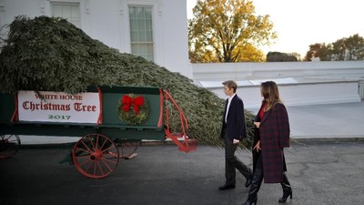 Momen Istri dan Anak Trump Sambut Pohon Natal di Gedung Putih