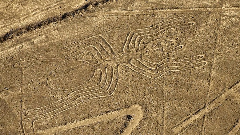 Naza Lines dilihat dari ketinggian (MARTIN BERNETTI/AFP/Getty Images) Naza Lines dilihat dari ketinggian (MARTIN BERNETTI/AFP/Getty Images)