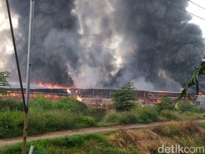 Peternakan Ayam di Kudus Terbakar, Kerugian Ditaksir Rp 3,5 M