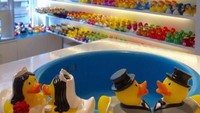 Bagi pengunjung yang ingin membeli bebek karet, bisa mencoba bebek ini di dalam bak kecil yang disediakan toko. (Amsterdam Duck Store/Facebook)