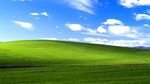Melihat Sosok Di Balik Wallpaper Ikonik Windows XP
