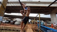 Sejumlah anak menjadikan pagar jembatan sebagai tempat untuk melompat ke sungai.