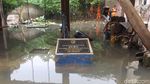Foto: Situasi Terkini Penanganan Tanggul Jebol di Jatipadang