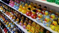 Toko mainan ini khusus menjual bebek karet beraneka karakter dan ukuran. (Amsterdam Duck Store/Facebook)
