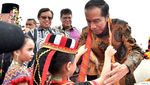 Foto: Kain Serawak di Pundak Jokowi