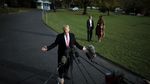 Ekspresi Anak Bungsu Trump Tunggu Sang Ayah Diwawancara
