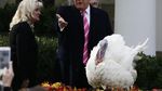 Foto: Saat Trump Ampuni Drumstick Si Kalkun