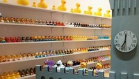 Untuk harga bebek-bebek karet ini dibandrol mulai dari 8-15 Euro (sekitar Rp 127 ribu - Rp 239 ribu). (Amsterdam Duck Store/Facebook)