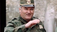 Mladic saat masih aktif di militer/Foto: BBC World