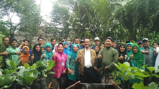 Desa Pangan Organik di Kulonprogo Ini Bisa Tambah Pendapatan Warganya