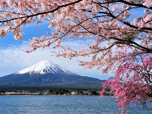 5 Hal Ini Bisa Bikin Liburan ke Jepang Bareng Anak Lebih Irit