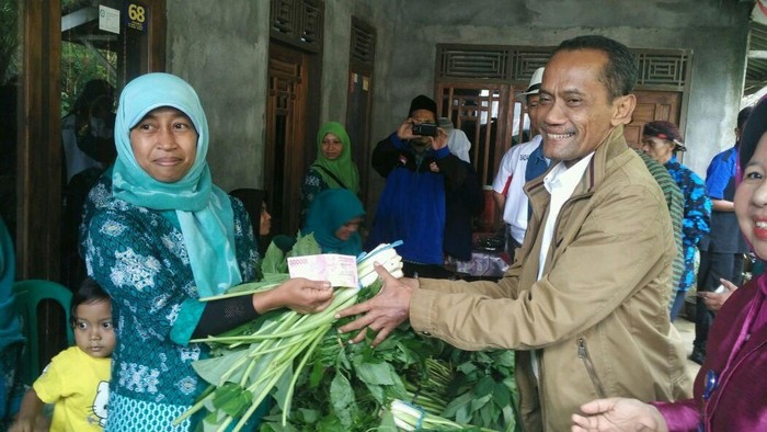 Bikin Pangan Organik, Jurus Warga Desa Ini Tambah Penghasilan