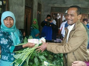 Bikin Pangan Organik, Jurus Warga Desa Ini Tambah Penghasilan