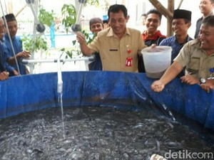 Wujudkan Santripreneur di Pesantren, Pemkab Latih Santri Kelola Lele