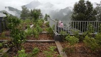 Warga bisa menanam sayur mayur untuk memenuhi kebutuhan makan sehari-hari mereka. Jika produksinya lebih, bisa dijual juga. Bagian bawah gedung perumahan ini bisa difungsikan jadi kios/toko yang dikelola warga juga. (dok. Rural Urban Framework)