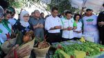 Mentan Amran dan Ketua HKTI Panen Padi di Indramayu