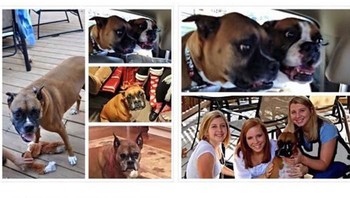 ketika sang ibu salah mengartikan emoji. Niatnya ingin kirim emoticon sedih tapi malah emoji tertawa sampai keluar air mata. (Foto: Boredpanda)