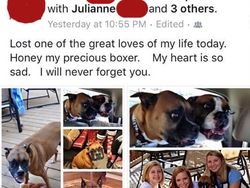 Tingkah Lucu Para Orangtua Saat Bertemu Teknologi