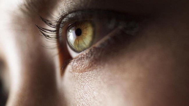 4 Fakta Unik Tubuh Manusia yang Mengejutkan Sekaligus Menakjubkan (2)