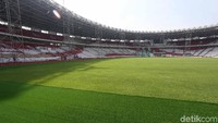 Rumput Zoysia matrella sudah tumbuh rata dan menghijau menghampar di atas lapangan SUGBK.