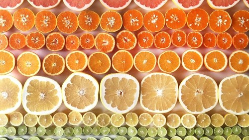 gradasi makanan