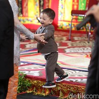 Jan Ethes tampil dengan setelan formal jas dan celana saat pesta adat Kahiyang Ayu dan Bobby Nasution di Medan, November 2017 silam. Meskipun memakai baju formal, Ethes tetap lincah beraktivitas dan bertingkah menggemaskan. Foto: Grandyos Zafna