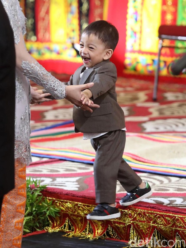 Jan Ethes tampil dengan setelan formal jas dan celana saat pesta adat Kahiyang Ayu dan Bobby Nasution di Medan, November 2017 silam. Meskipun memakai baju formal, Ethes tetap lincah beraktivitas dan bertingkah menggemaskan. Foto: Grandyos Zafna