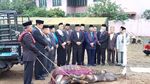 Foto: Prosesi Sembelih Kerbau di Pesta Adat Kahiyang-Bobby