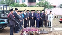 Semua raja telah saksikan bahwa kerbau yang dipotong sudah ada. Itulah dia prosesnya, ujar Kamal Harahap.